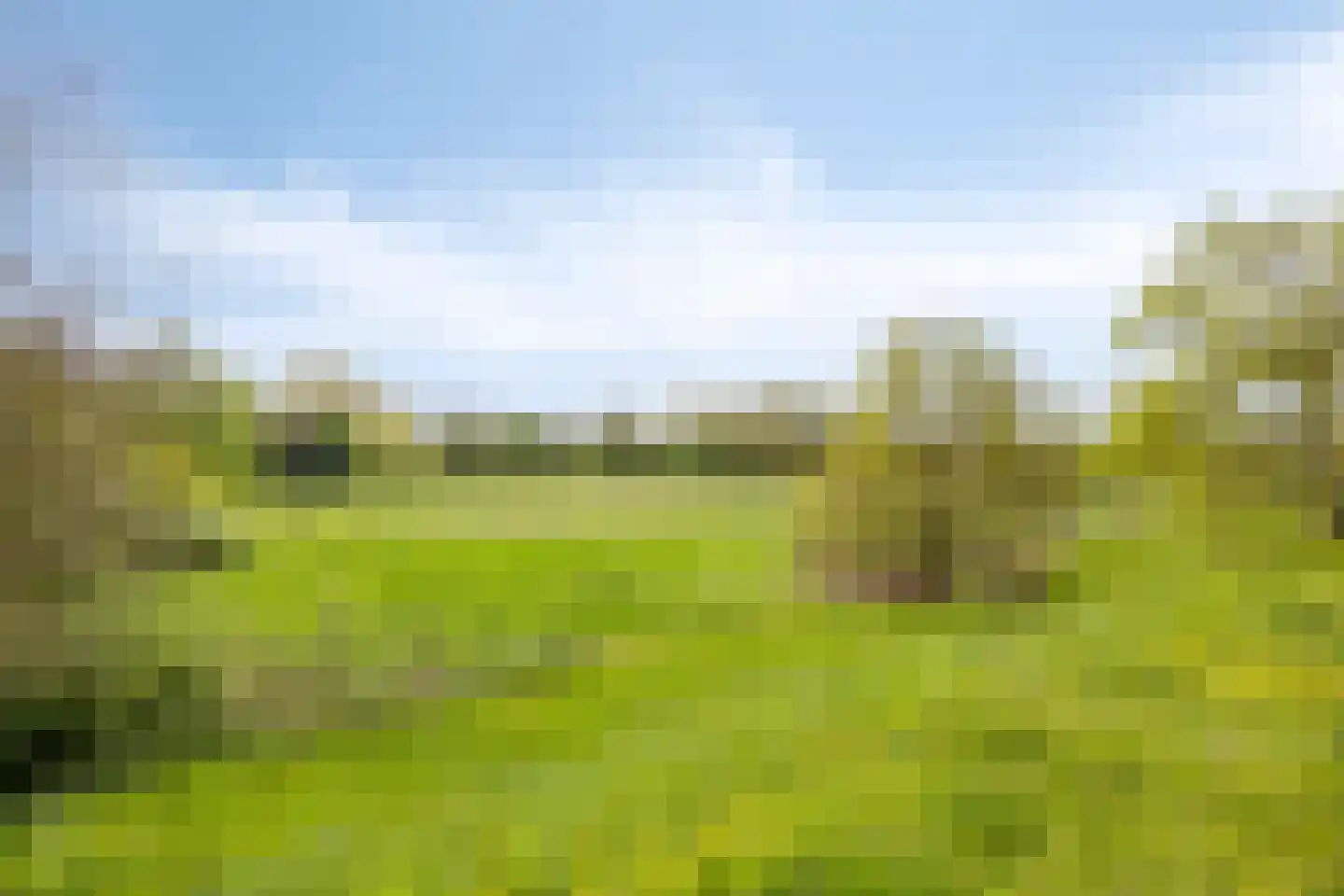 Negende Reit 64 's-Hertogenbosch thumbnail 35