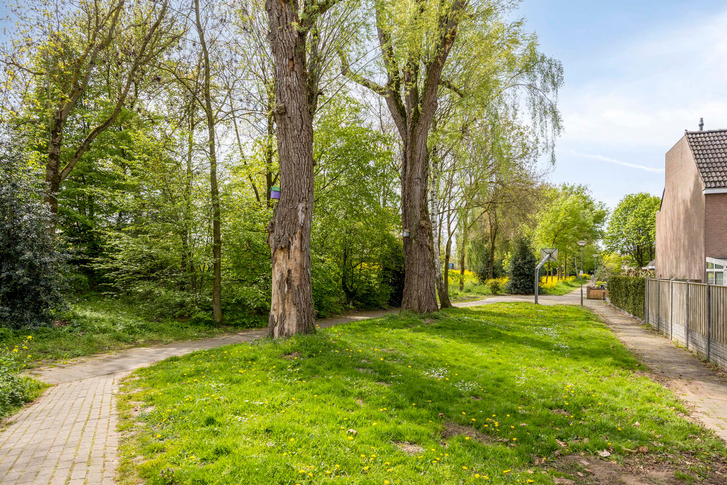 Negende Reit 64 's-Hertogenbosch thumbnail 36