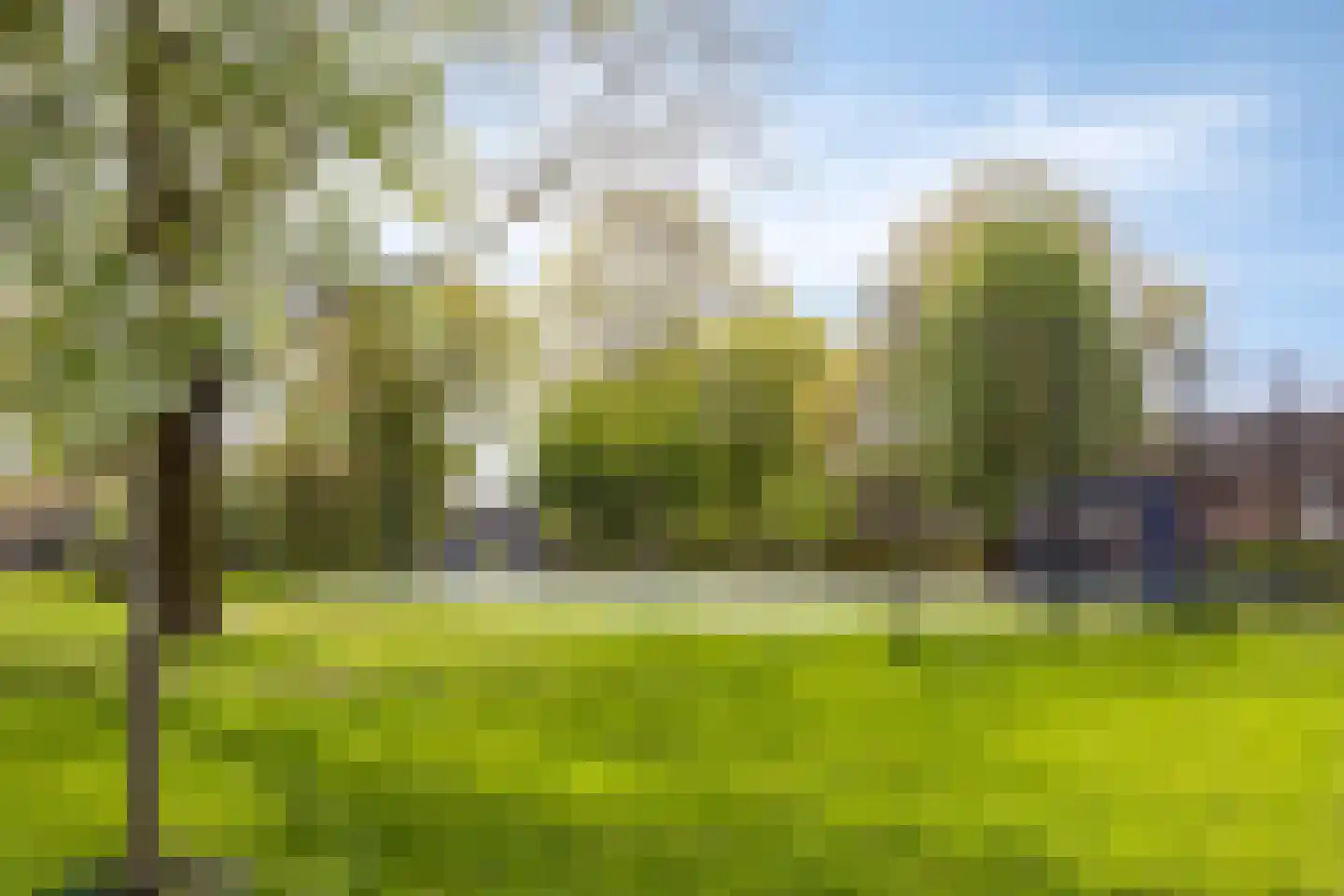 Negende Reit 64 's-Hertogenbosch thumbnail 37