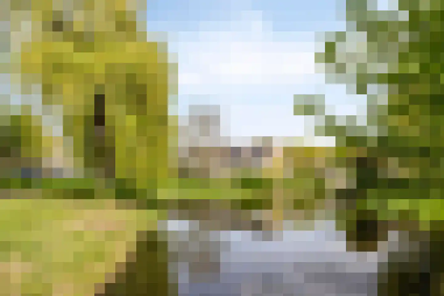 Negende Reit 64 's-Hertogenbosch thumbnail 38