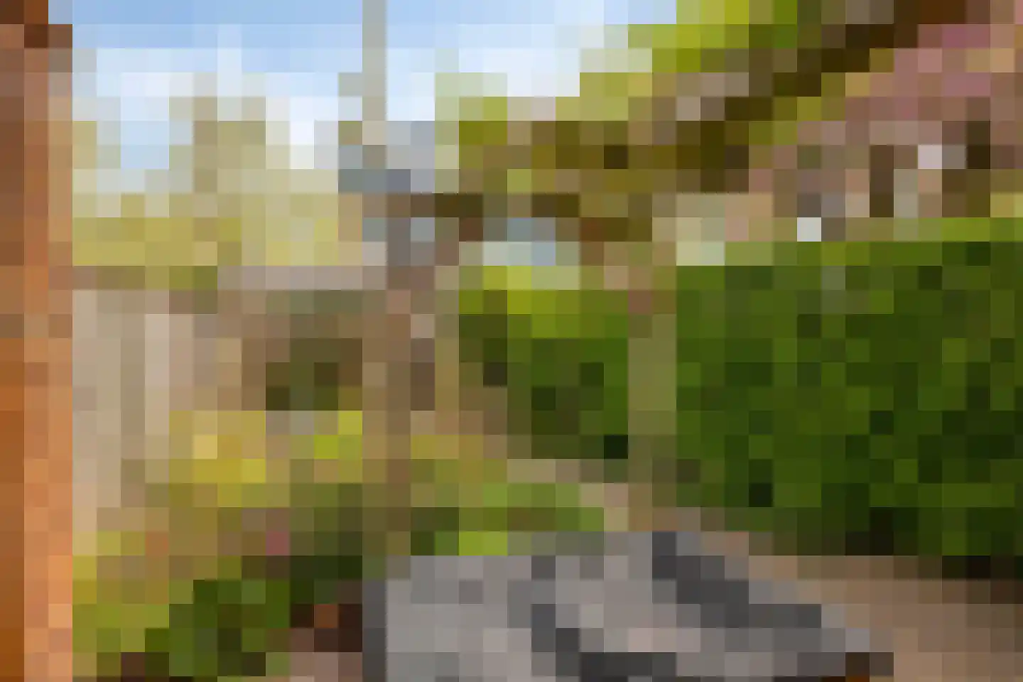 Negende Reit 64 's-Hertogenbosch thumbnail 4