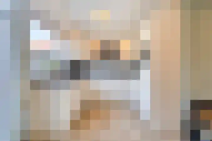 Negende Reit 84 's-Hertogenbosch thumbnail 11