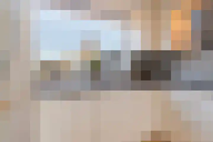 Negende Reit 84 's-Hertogenbosch thumbnail 12