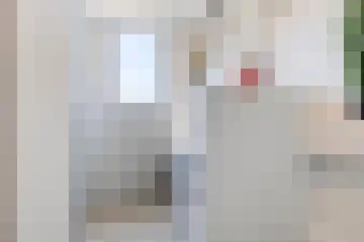 Negende Reit 84 's-Hertogenbosch thumbnail 27