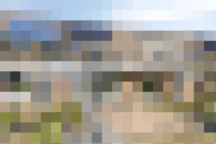 Negende Reit 84 's-Hertogenbosch thumbnail 31