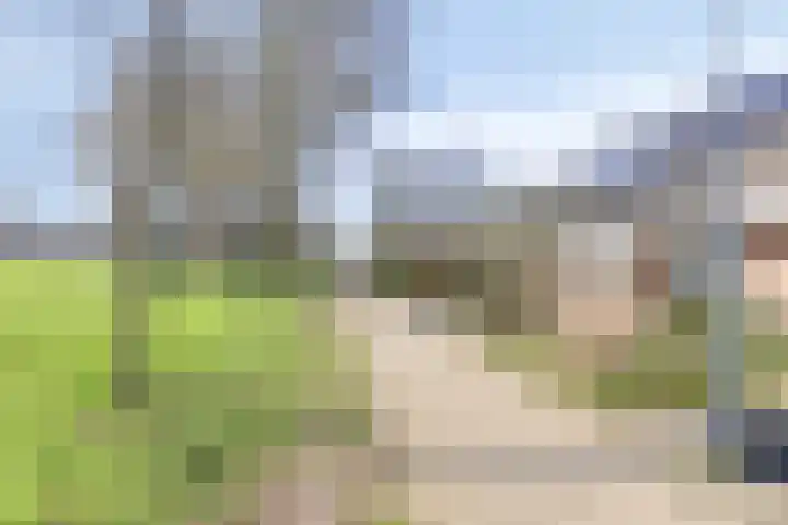 Negende Reit 84 's-Hertogenbosch thumbnail 34