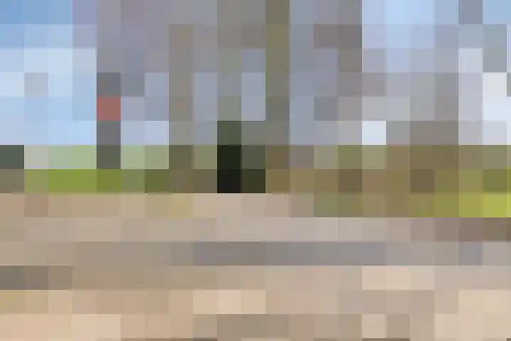 Negende Reit 84 's-Hertogenbosch thumbnail 37