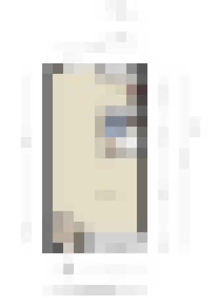 Negende Reit 84 's-Hertogenbosch thumbnail 41