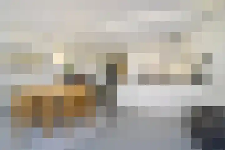 Negende Reit 86 's-Hertogenbosch thumbnail 12