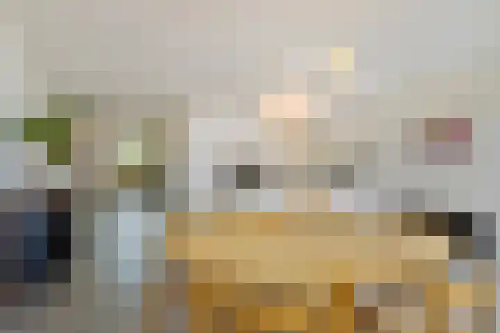 Negende Reit 86 's-Hertogenbosch thumbnail 13