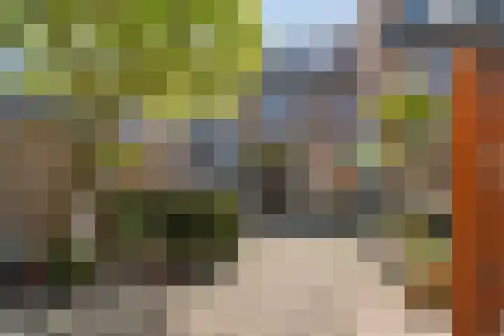 Negende Reit 86 's-Hertogenbosch thumbnail 15