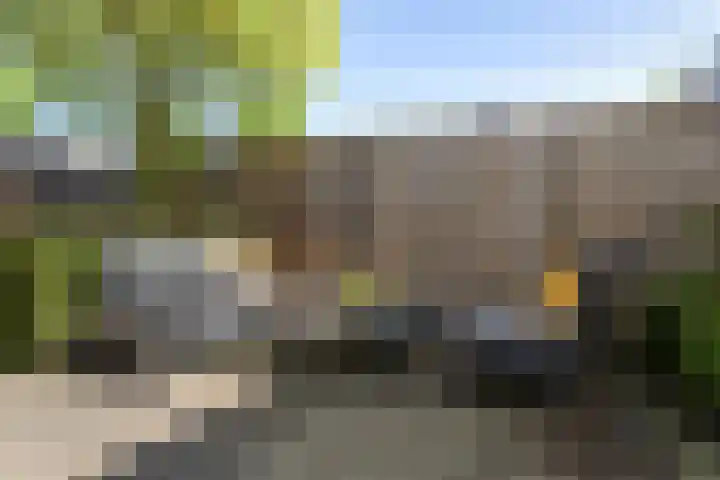 Negende Reit 86 's-Hertogenbosch thumbnail 17