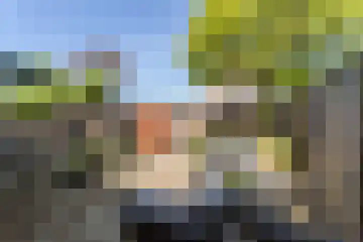 Negende Reit 86 's-Hertogenbosch thumbnail 18