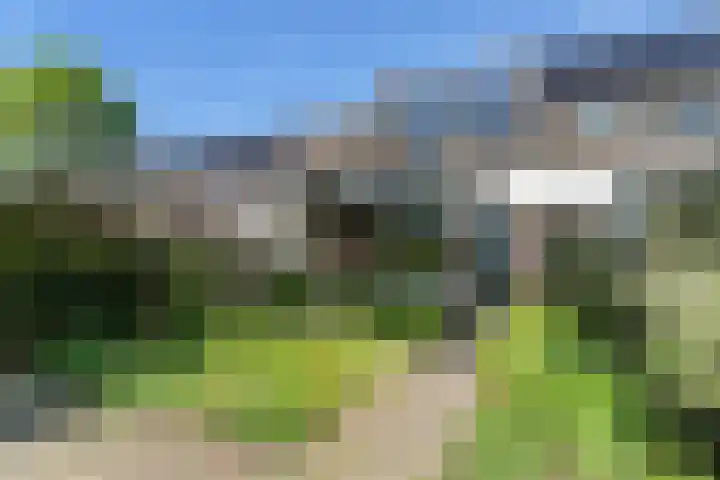 Negende Reit 86 's-Hertogenbosch thumbnail 19