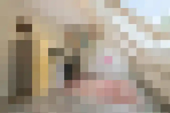 Negende Reit 86 's-Hertogenbosch thumbnail 30