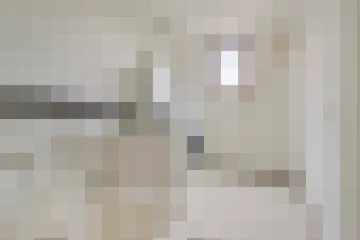 Negende Reit 86 's-Hertogenbosch thumbnail 32