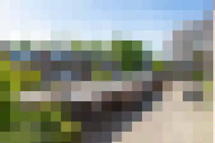 Negende Reit 86 's-Hertogenbosch thumbnail 36