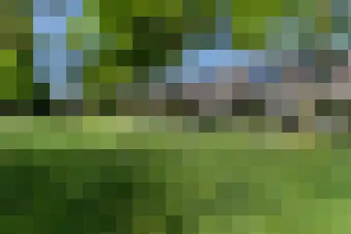 Negende Reit 86 's-Hertogenbosch thumbnail 38