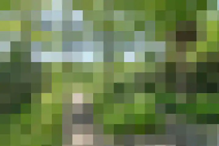 Negende Reit 86 's-Hertogenbosch thumbnail 39