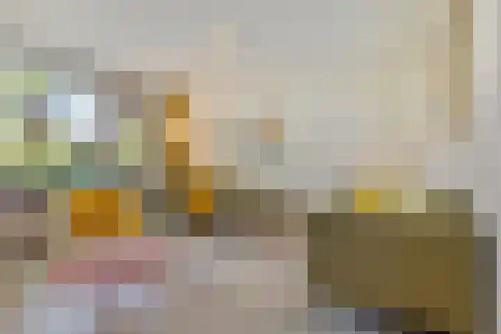 Negende Reit 86 's-Hertogenbosch thumbnail 5