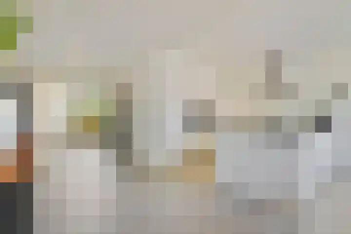 Negende Reit 86 's-Hertogenbosch thumbnail 8