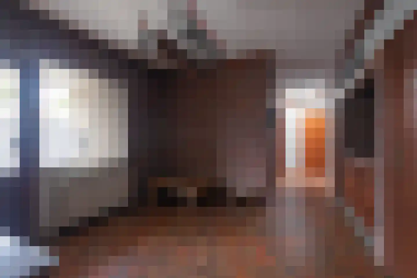 Negenmorgenstraat 6 Stein thumbnail 11