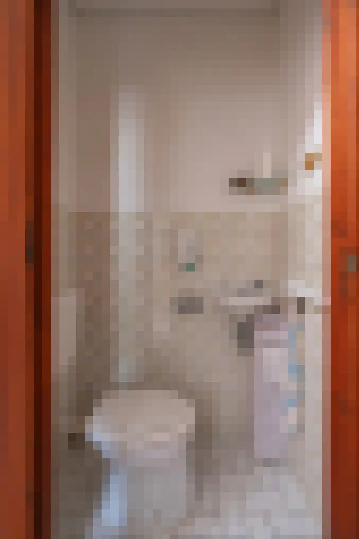 Negenmorgenstraat 6 Stein thumbnail 13