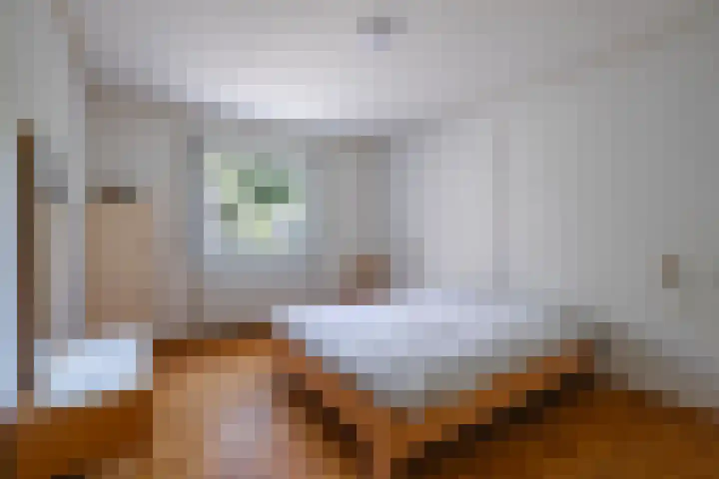 Negenmorgenstraat 6 Stein thumbnail 13