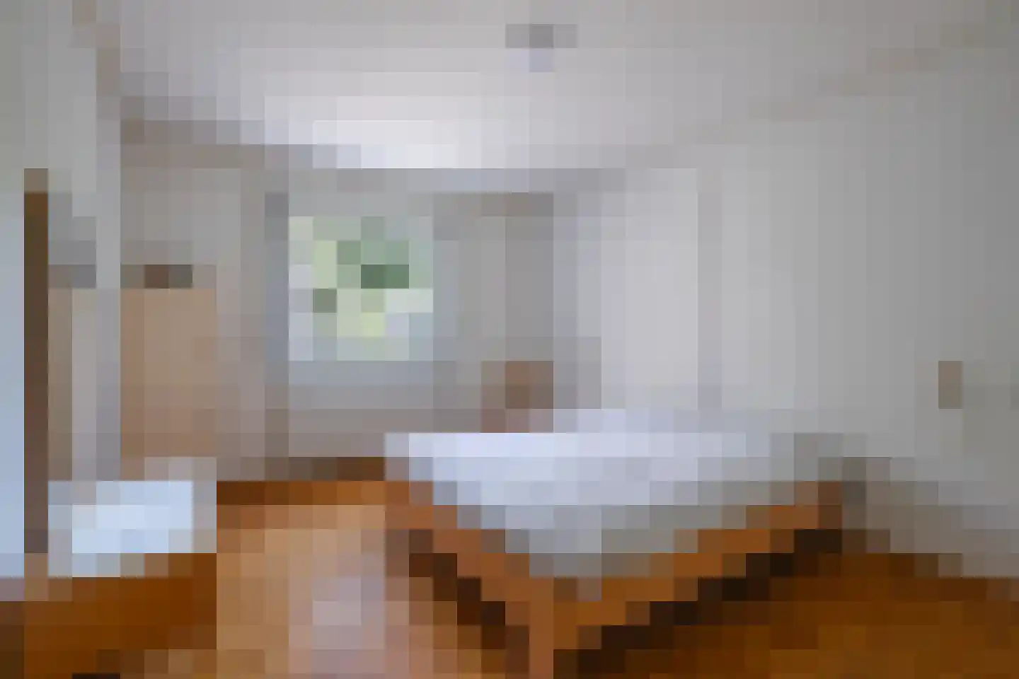Negenmorgenstraat 6 Stein thumbnail 14
