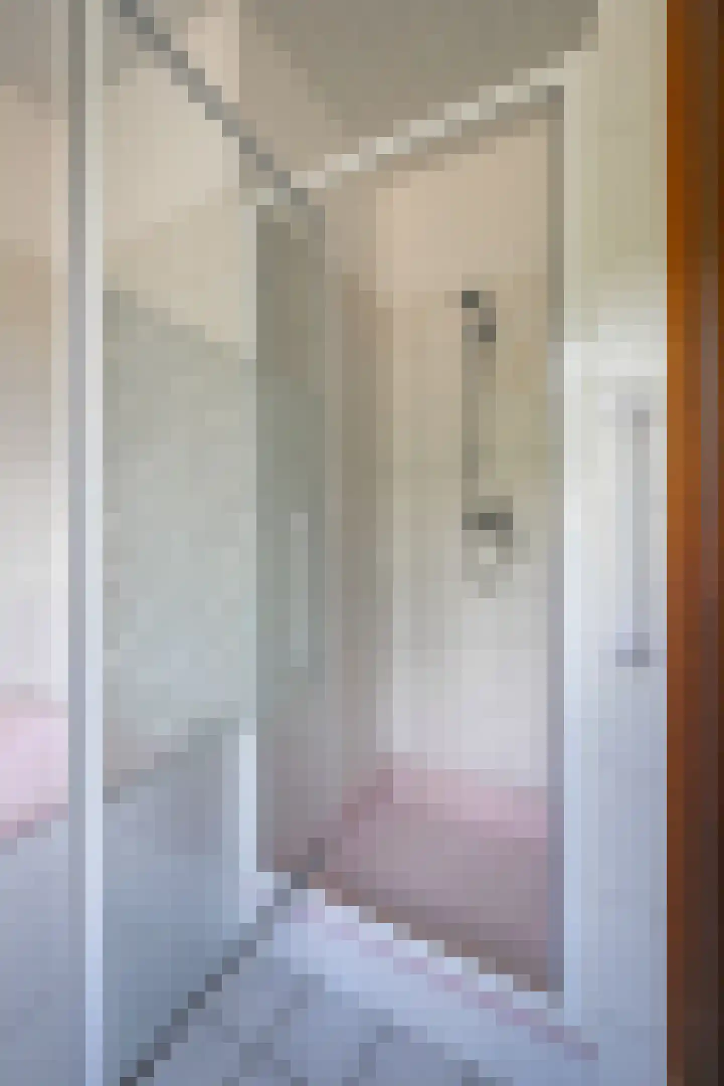 Negenmorgenstraat 6 Stein thumbnail 17