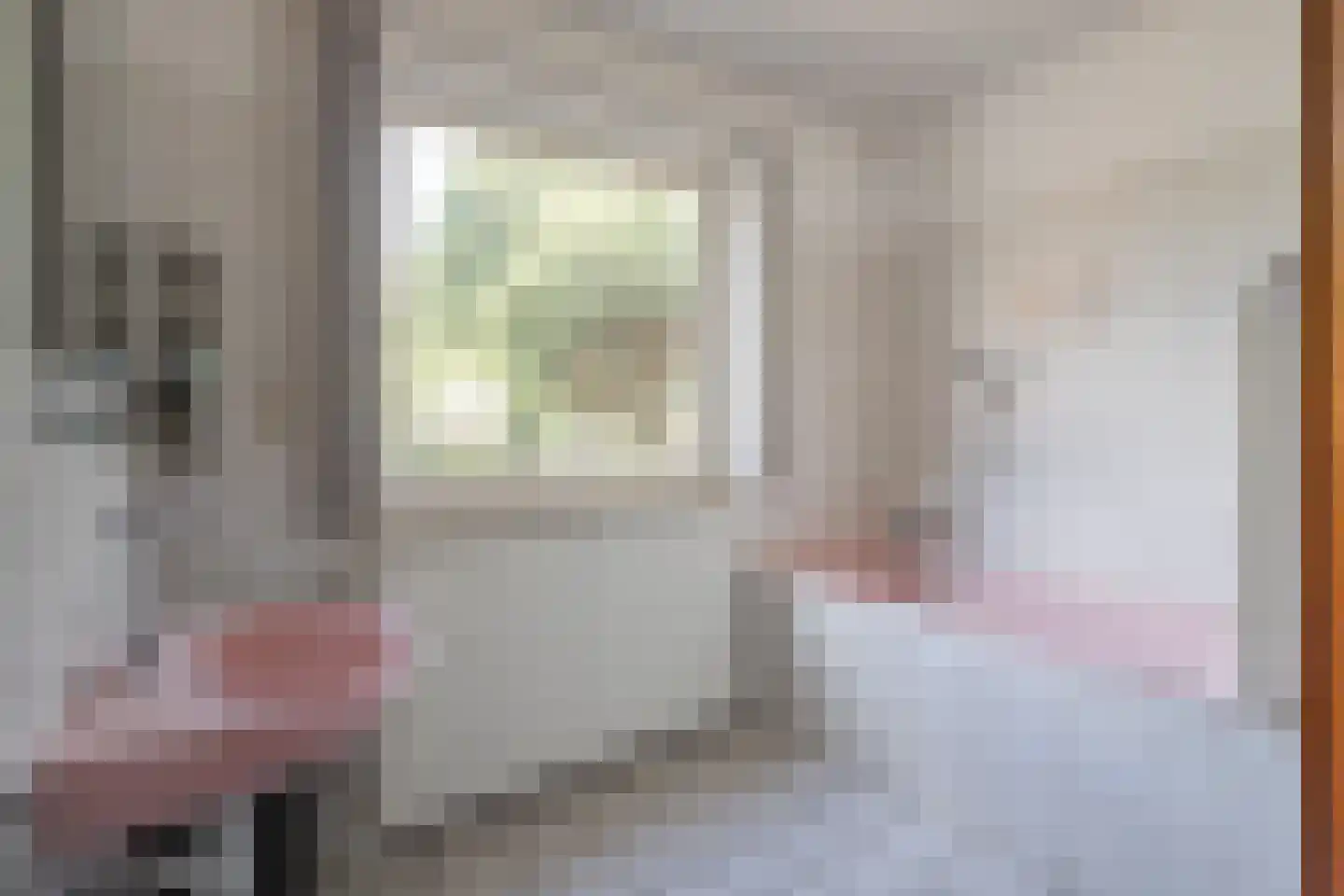 Negenmorgenstraat 6 Stein thumbnail 17