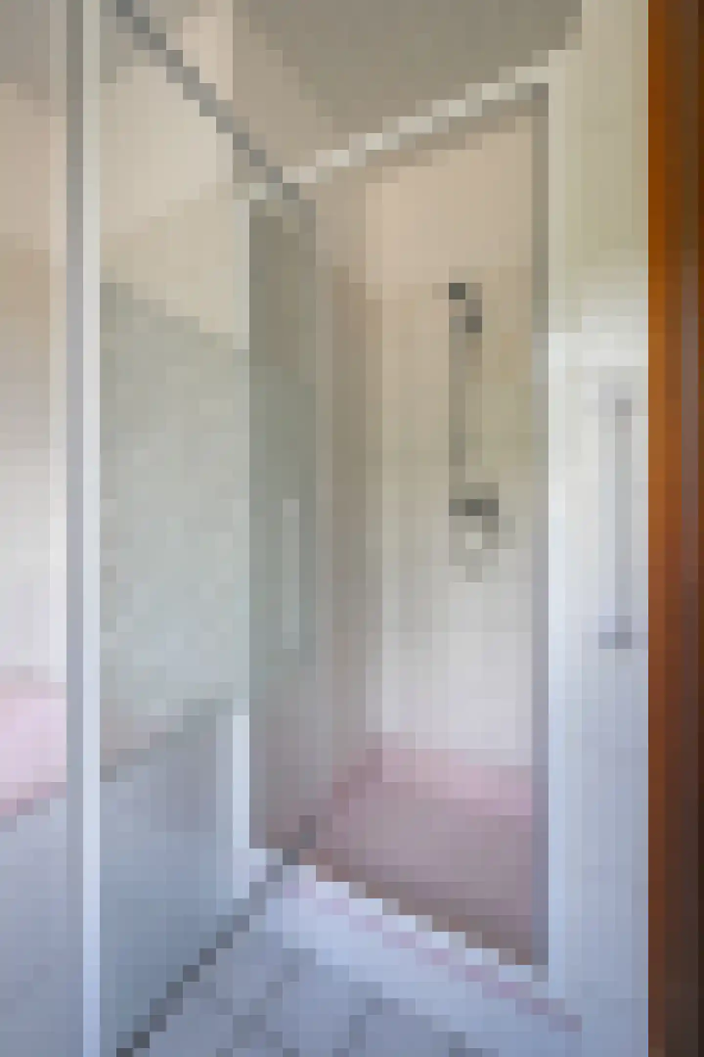 Negenmorgenstraat 6 Stein thumbnail 18