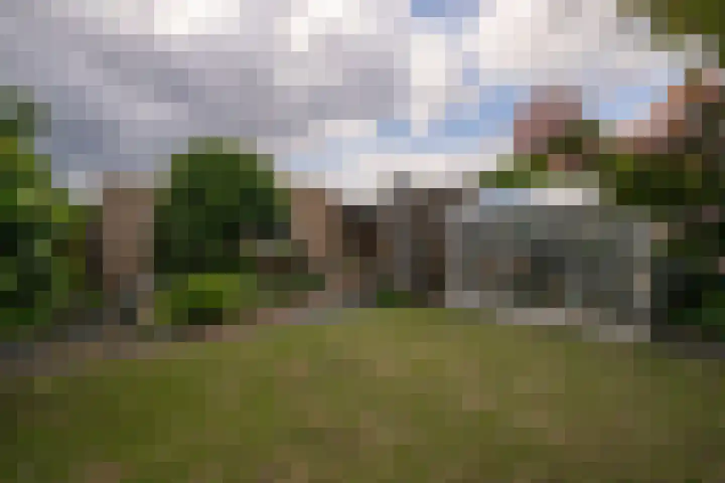 Negenmorgenstraat 6 Stein thumbnail 22