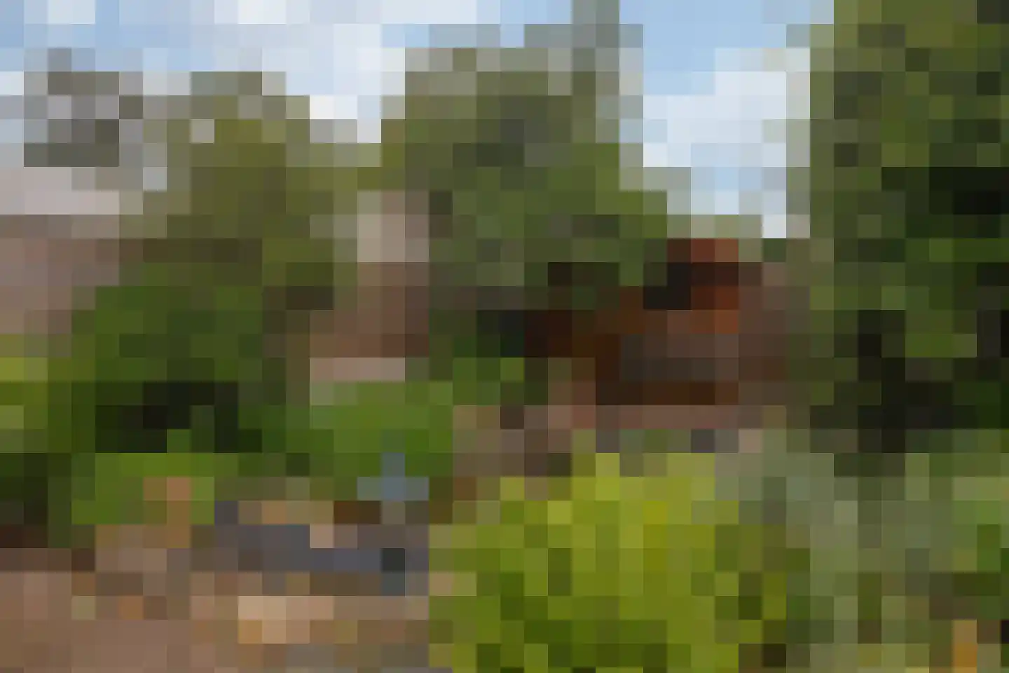 Negenmorgenstraat 6 Stein thumbnail 24