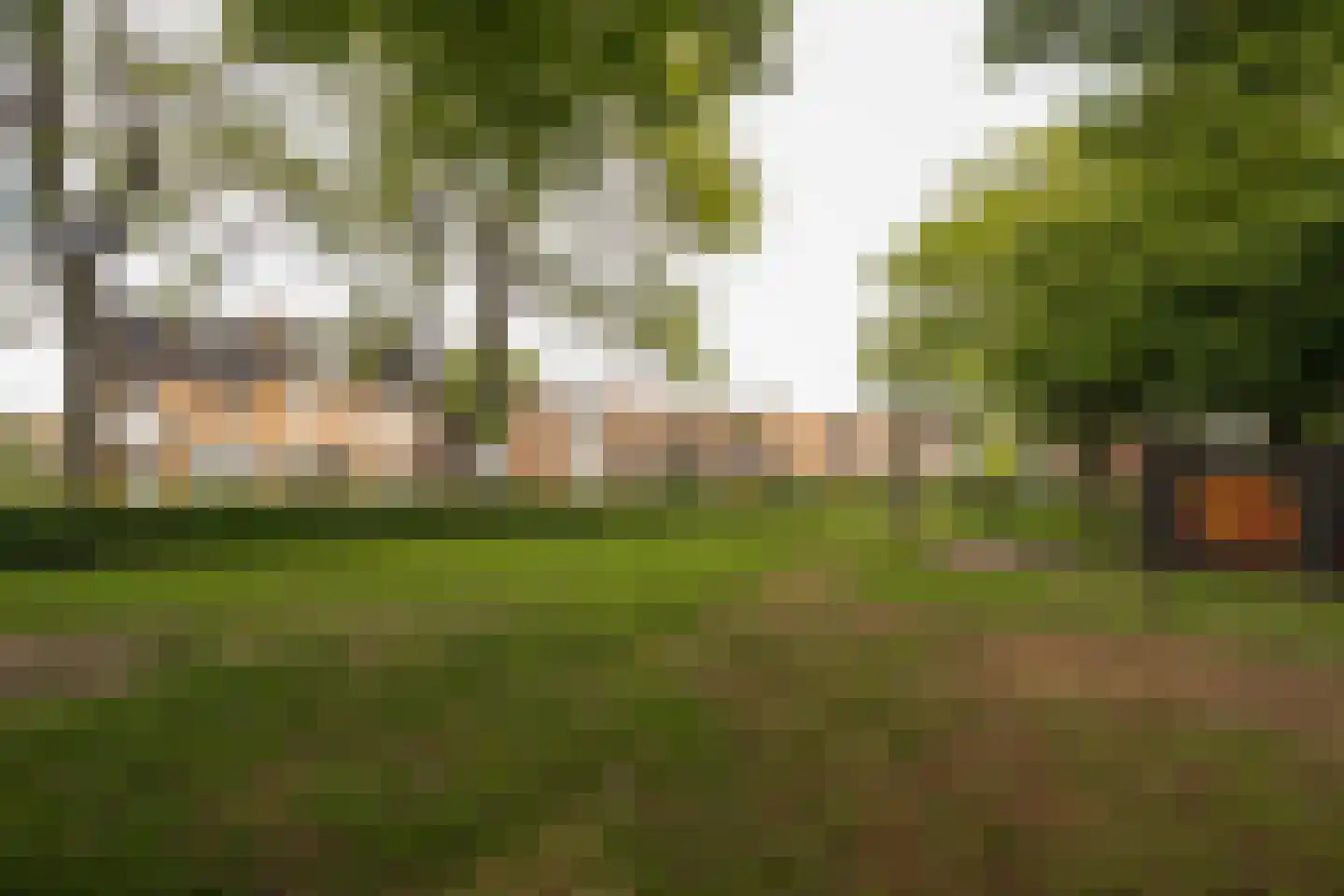 Negenmorgenstraat 6 Stein thumbnail 30