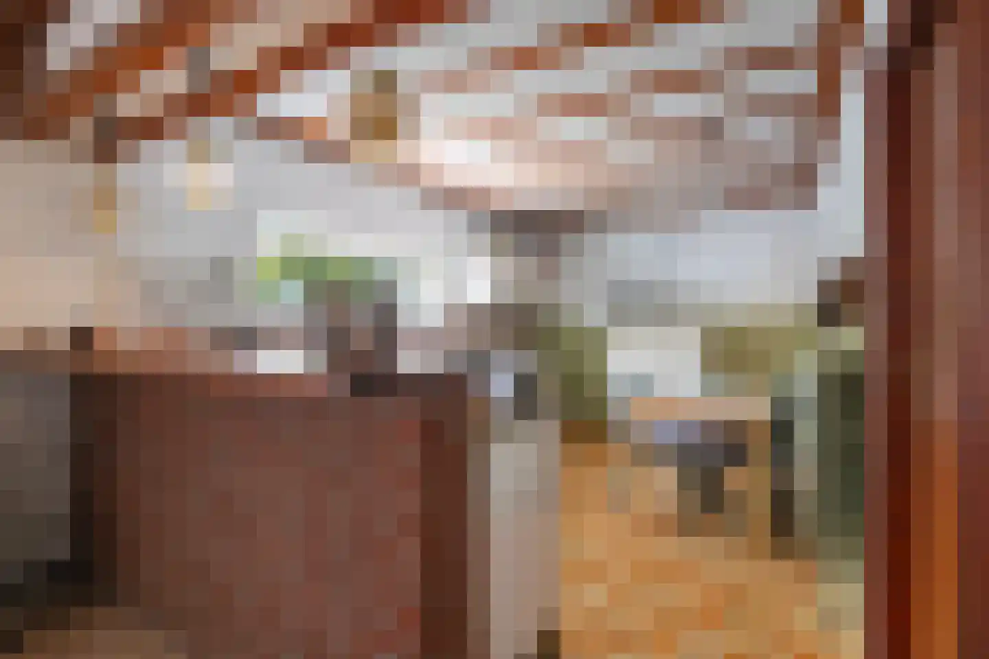 Negenmorgenstraat 6 Stein thumbnail 9