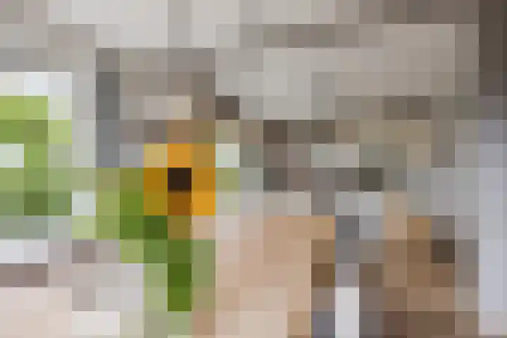 Nehalennialaan 24 Naaldwijk thumbnail 13