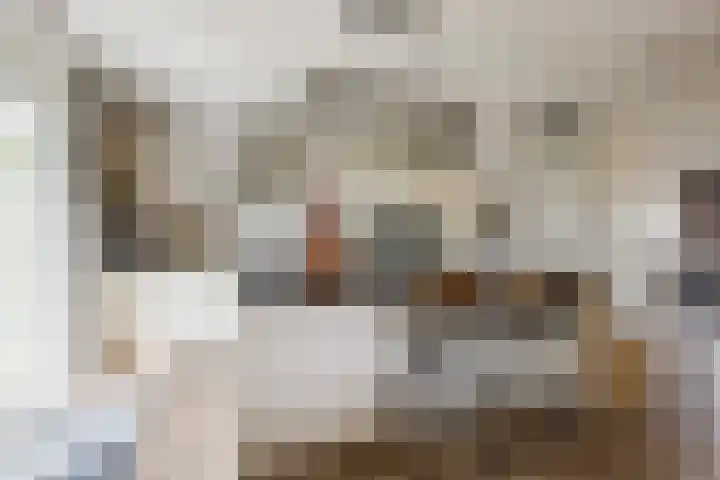 Nehalennialaan 24 Naaldwijk thumbnail 14