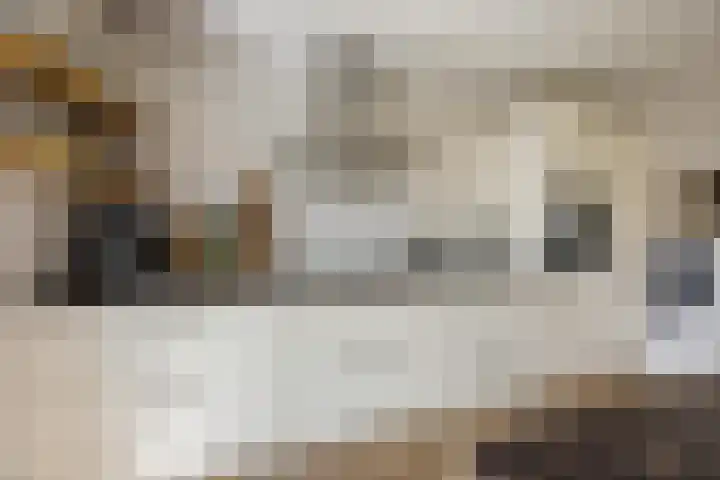 Nehalennialaan 24 Naaldwijk thumbnail 15