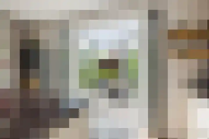 Nehalennialaan 24 Naaldwijk thumbnail 18