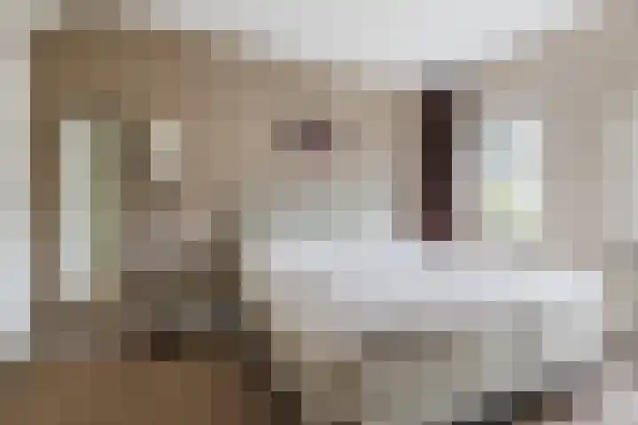 Nehalennialaan 24 Naaldwijk thumbnail 19
