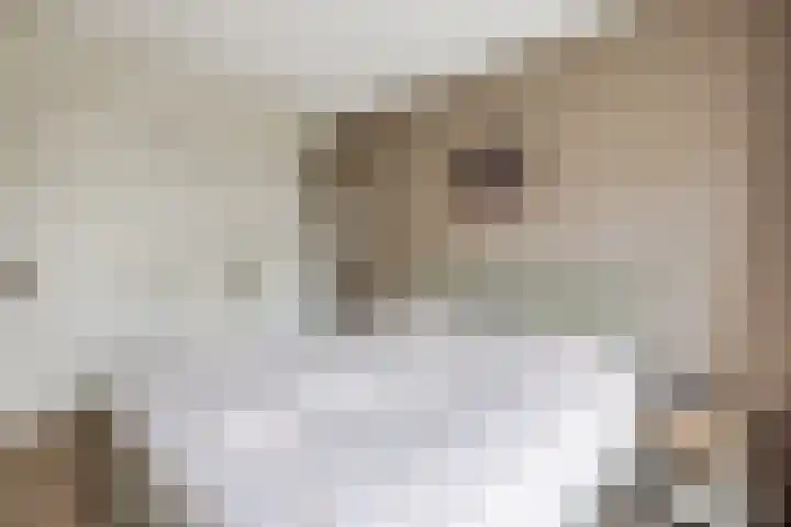 Nehalennialaan 24 Naaldwijk thumbnail 20