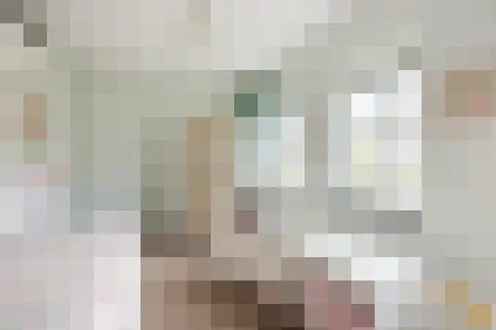 Nehalennialaan 24 Naaldwijk thumbnail 22