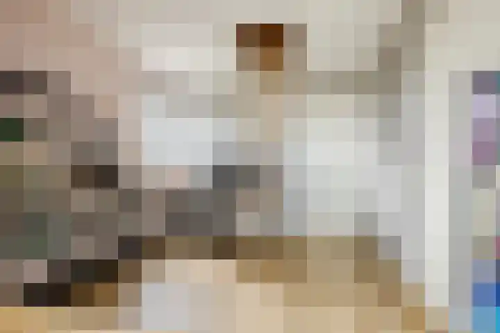 Nehalennialaan 24 Naaldwijk thumbnail 28