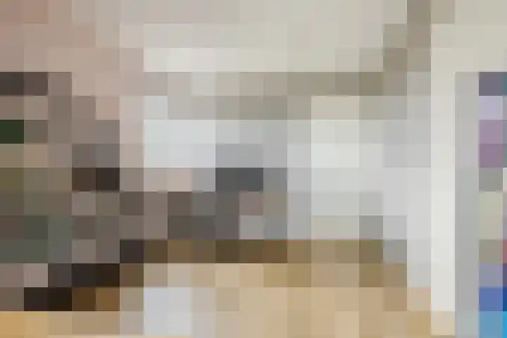 Nehalennialaan 24 Naaldwijk thumbnail 29