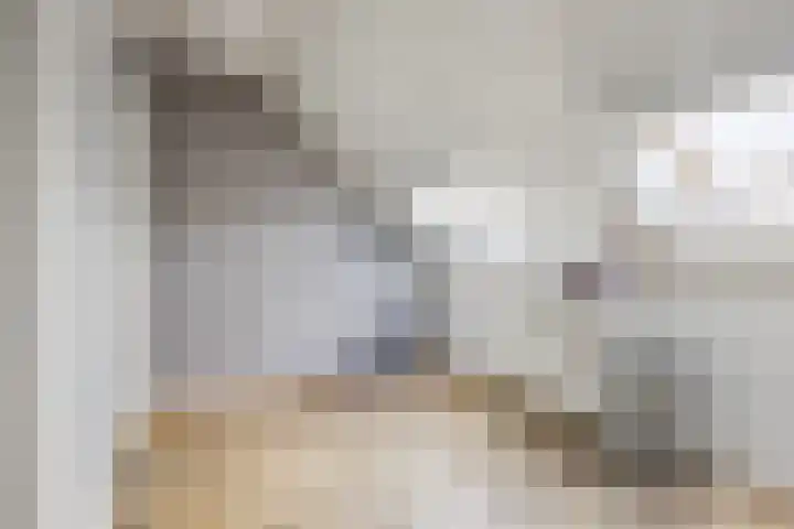 Nehalennialaan 24 Naaldwijk thumbnail 31