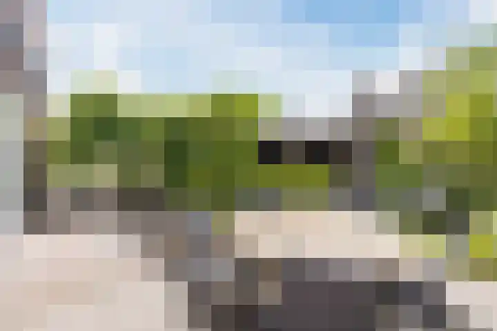 Nehalennialaan 24 Naaldwijk thumbnail 33