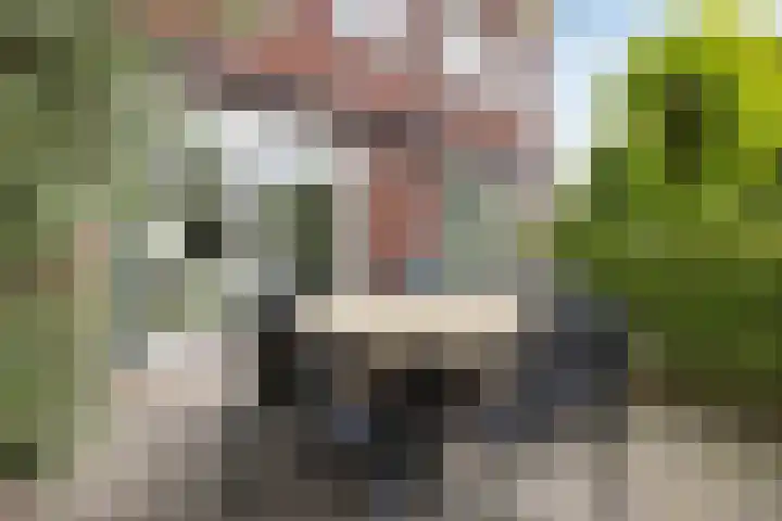 Nehalennialaan 24 Naaldwijk thumbnail 34