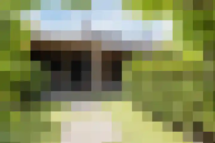 Nehalennialaan 24 Naaldwijk thumbnail 35