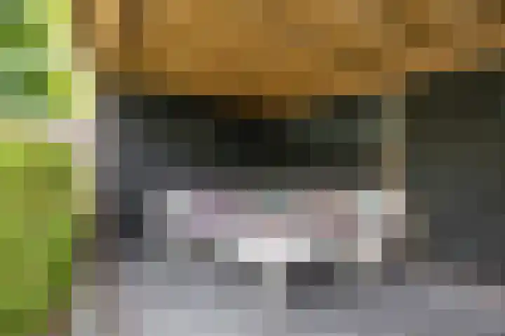 Nehalennialaan 24 Naaldwijk thumbnail 36